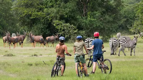 About Adventures & Hikes