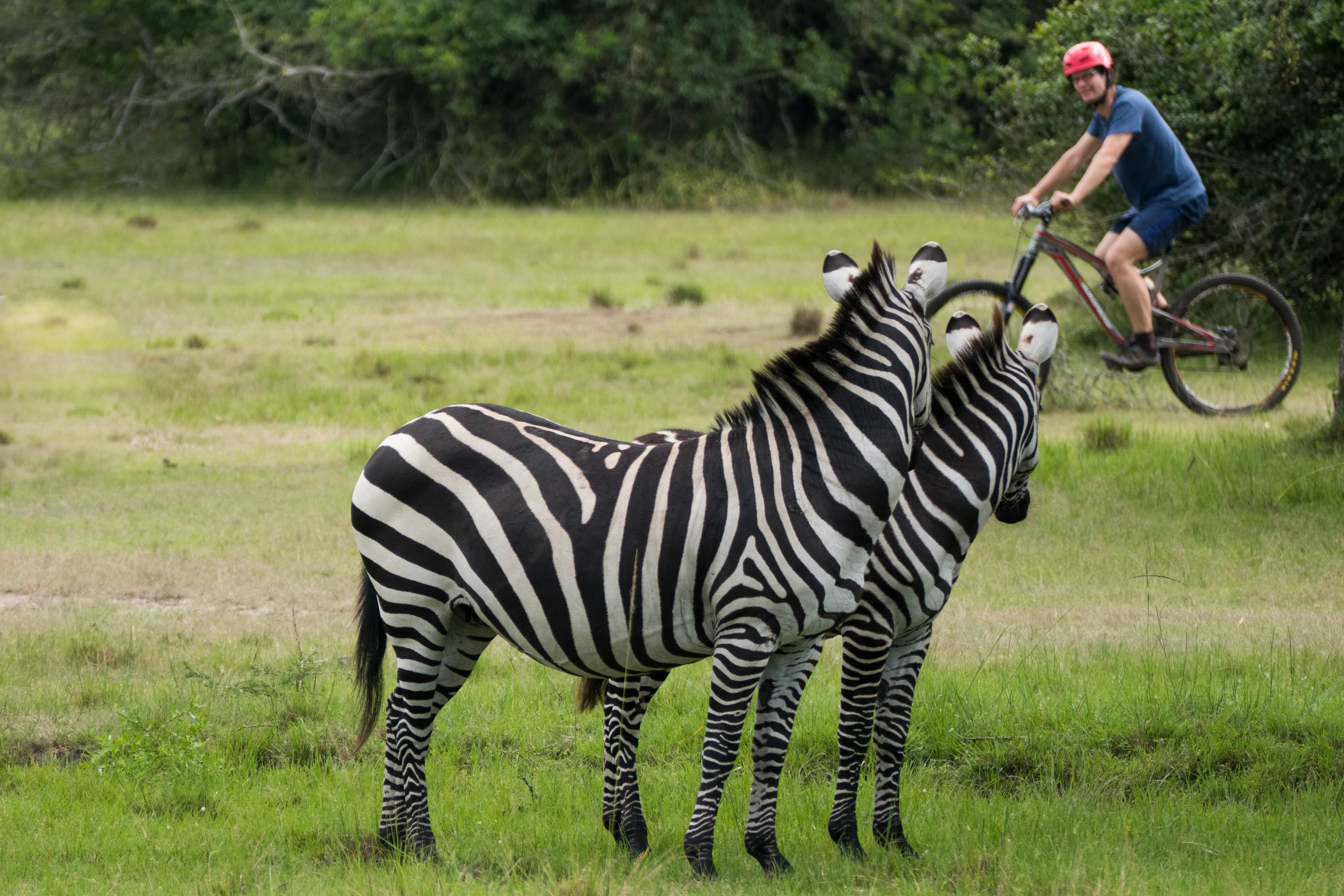Cyclist crossing a highland trail in Uganda