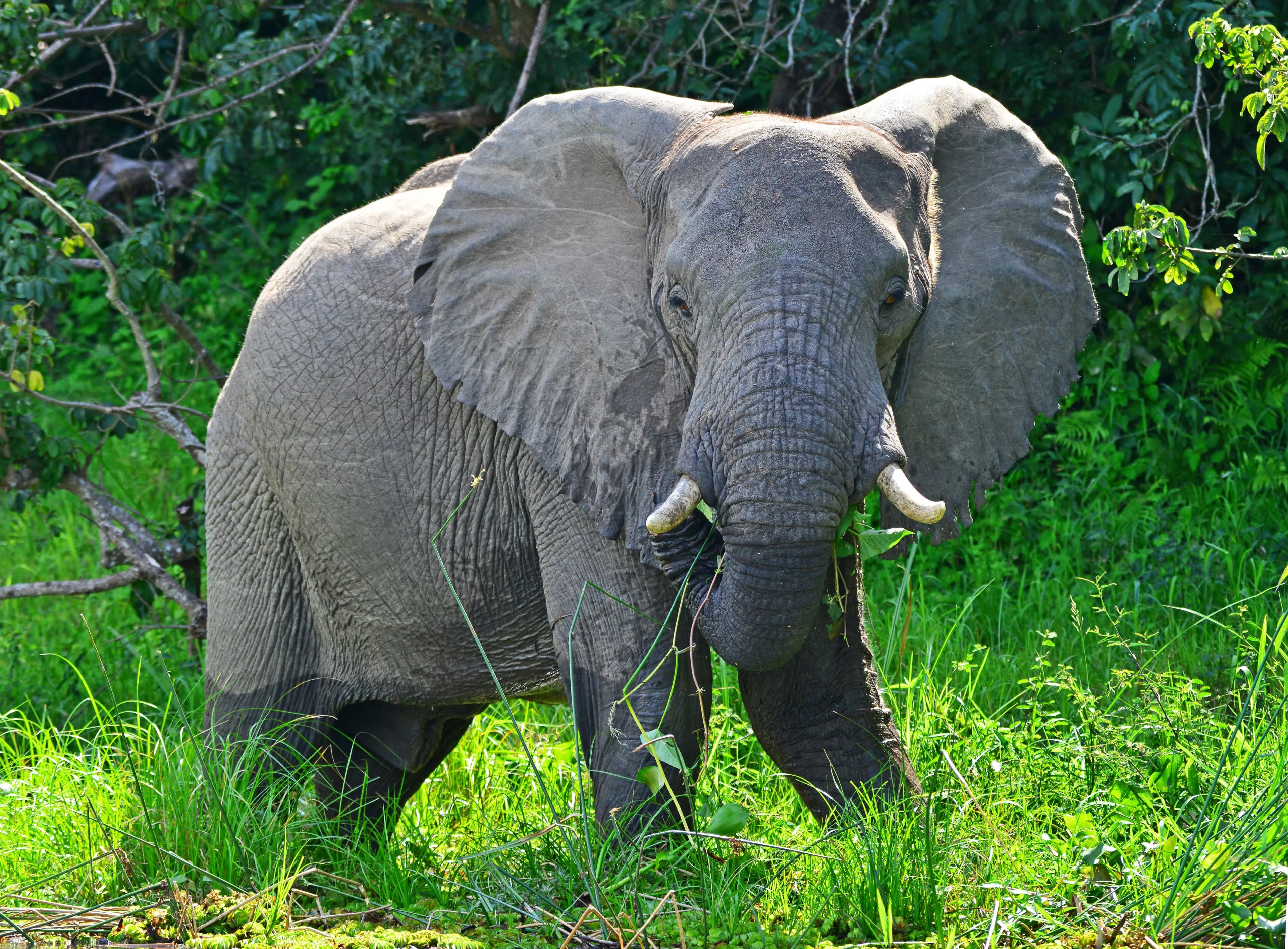 Adventures & Hikes News