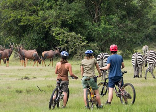 09 Days Extreme Fishing & Wild Game Tour